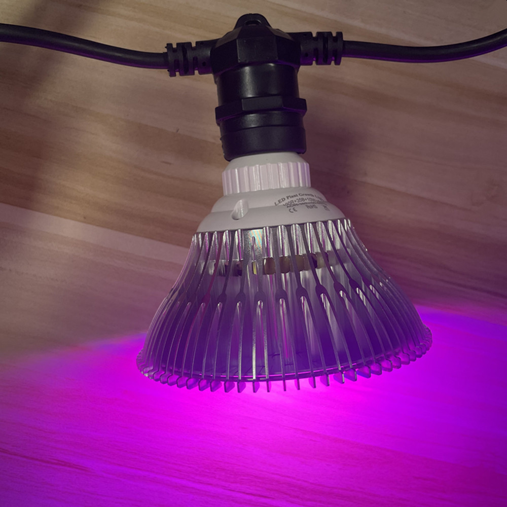 10M Cable LED String Commercia - Outdoor Lighting Globes recension och pris